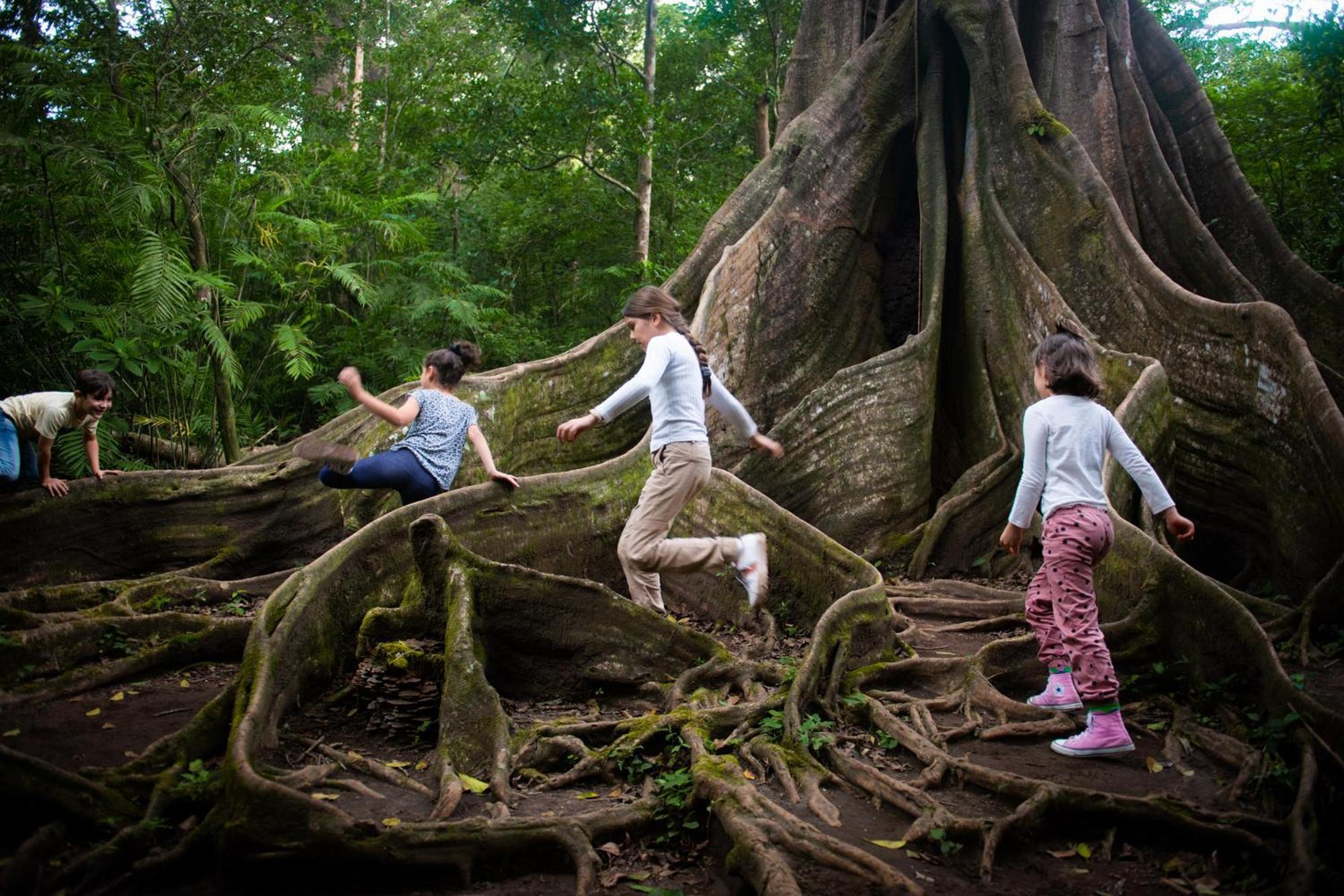 Lodge Buena Vista Del Rincon Eco Adventure Park &