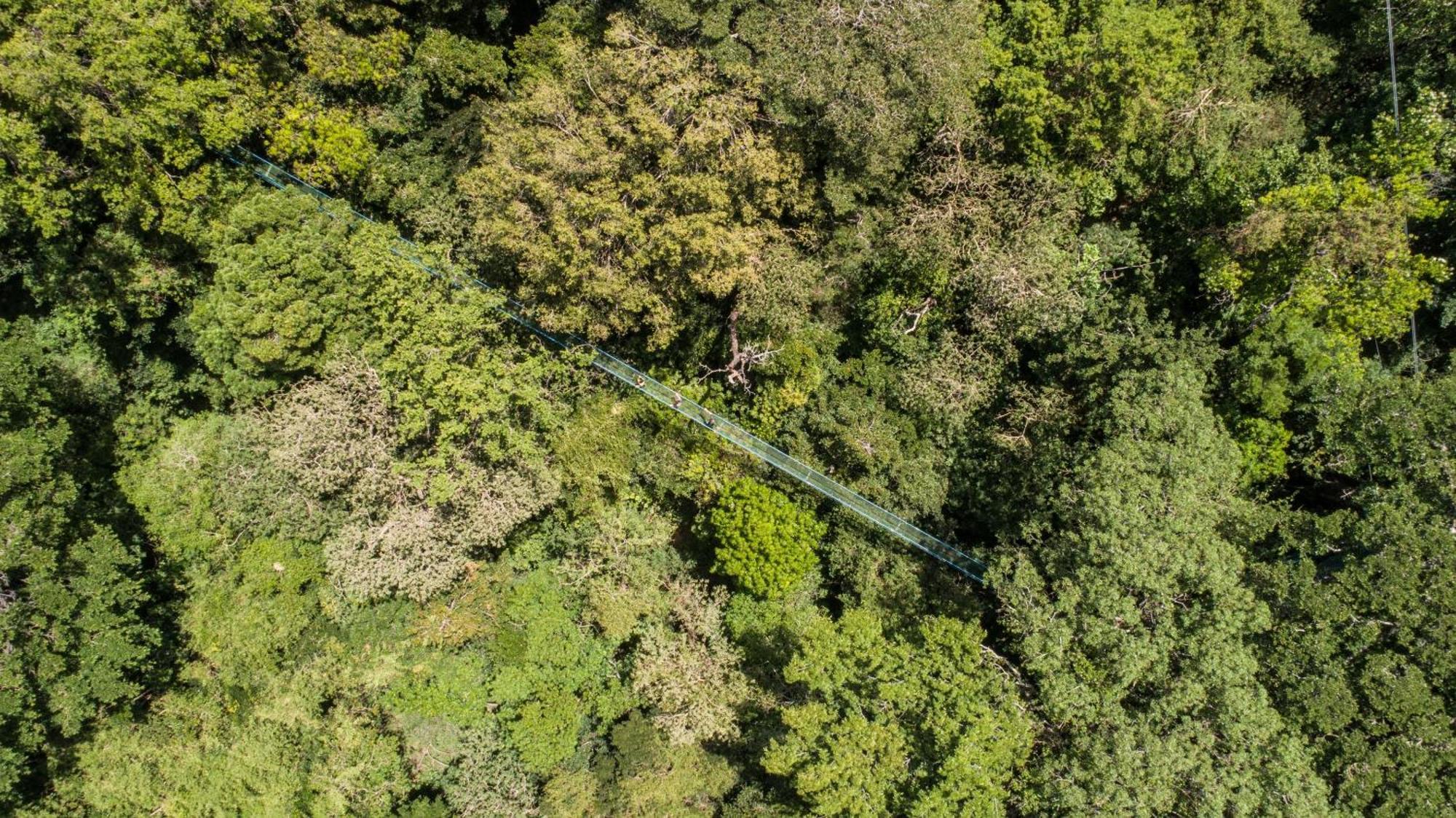 Buena Vista Del Rincon Eco Adventure Park & Lodge *